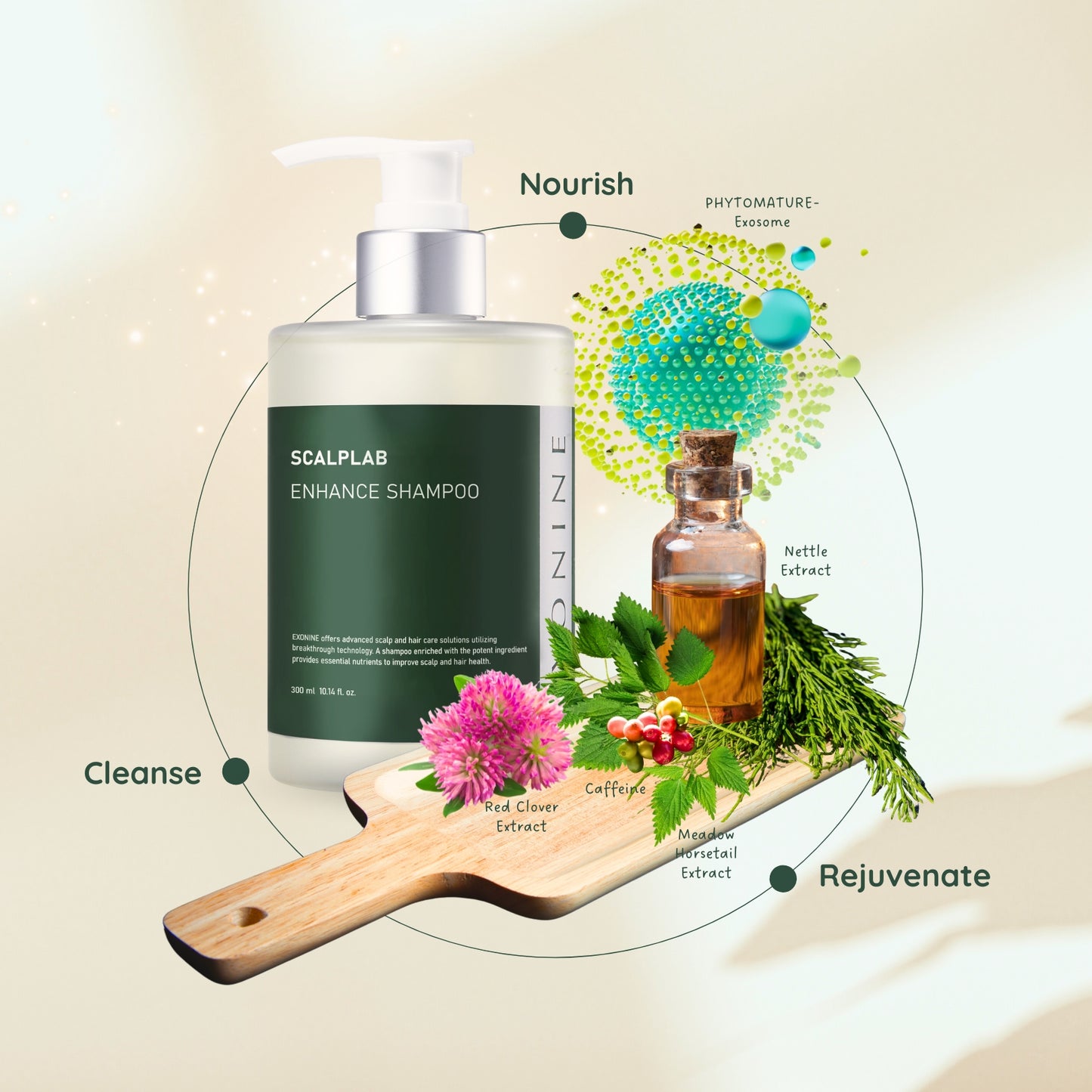 EXONINE | SCALPLAB Enhance Shampoo